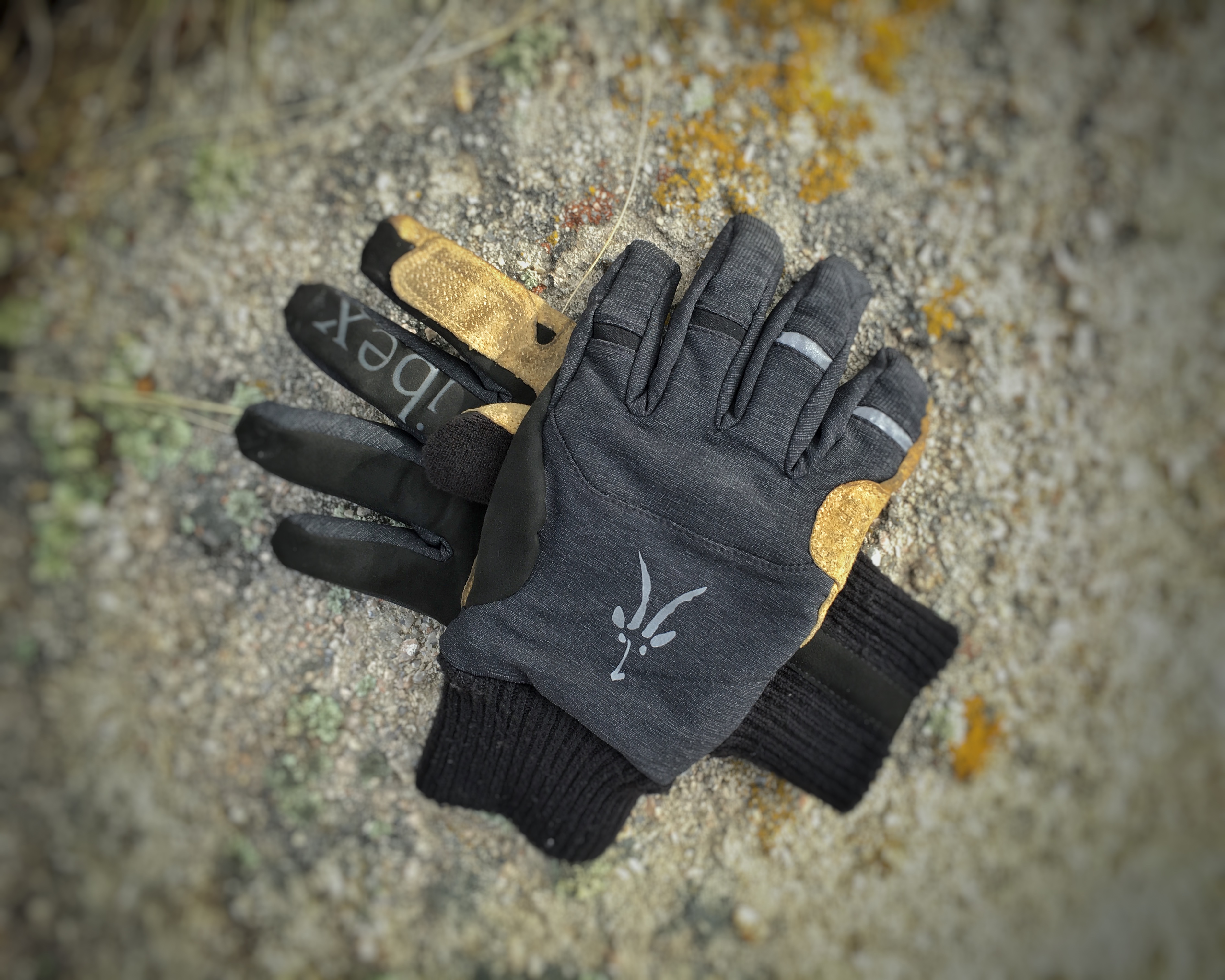 ibex wool gloves