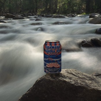 Telluride Brewing – Fishwater Double IPA