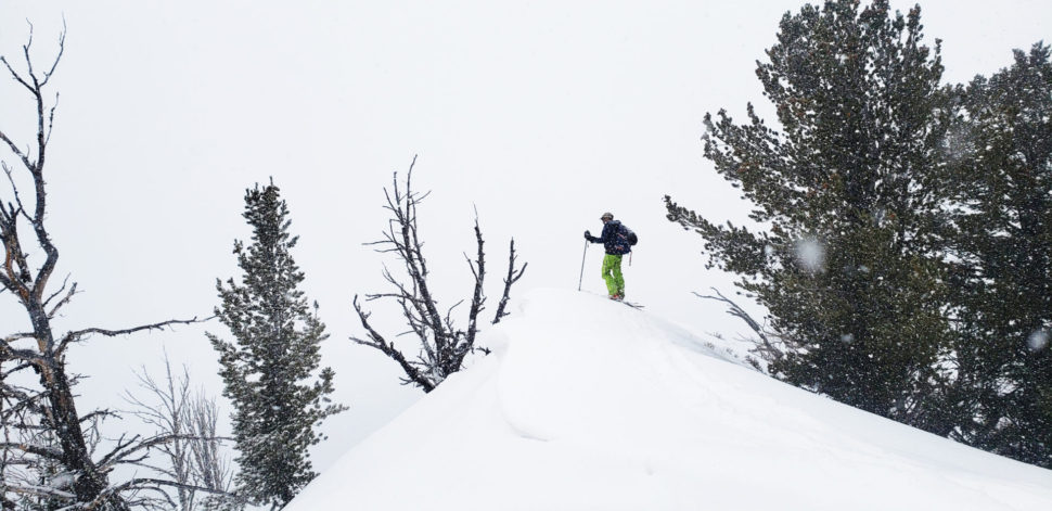 Bluebird Backcountry, photo by Jesse Melchiskey