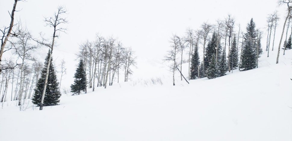 Bluebird Backcountry, photo by Jesse Melchiskey